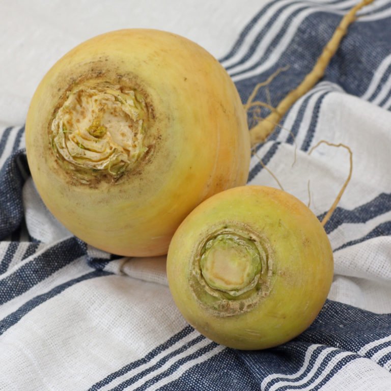 RattenschwanzRettich