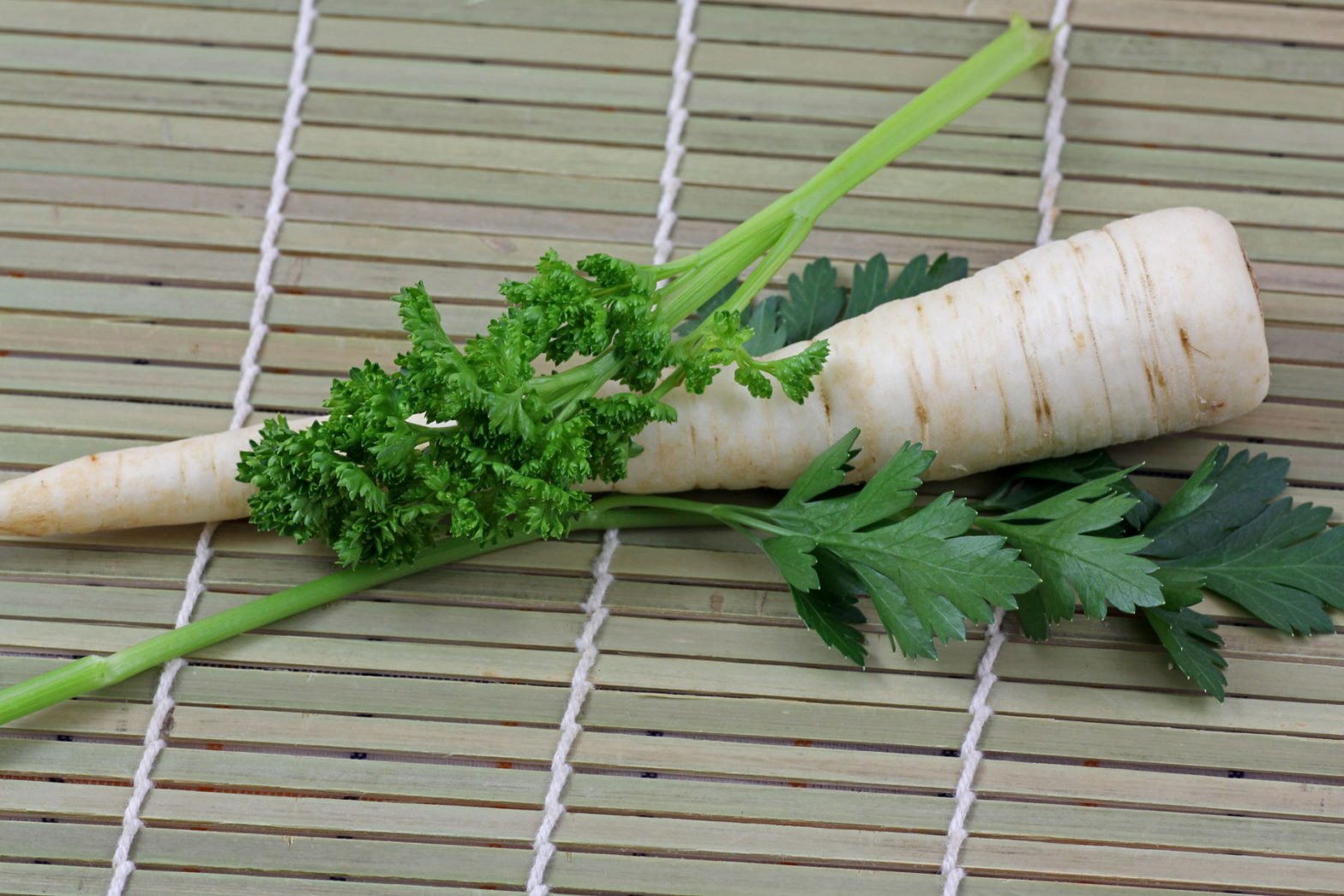 Blattpetersilie, Wurzelpetersilie