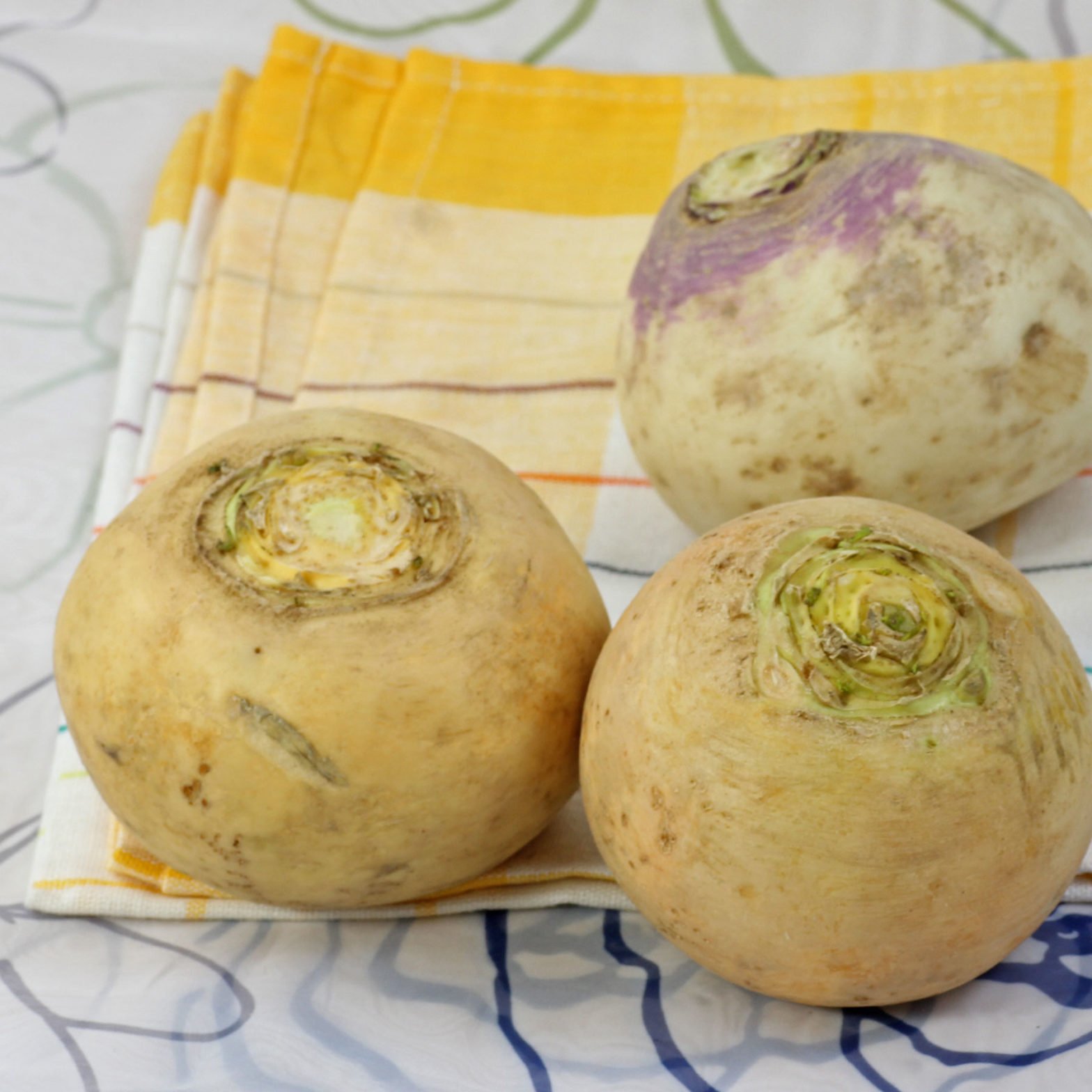 Steckrübe: Infos &amp; Rezepte